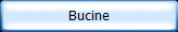Bucine