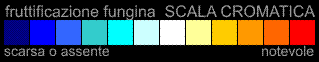 scala cromatica